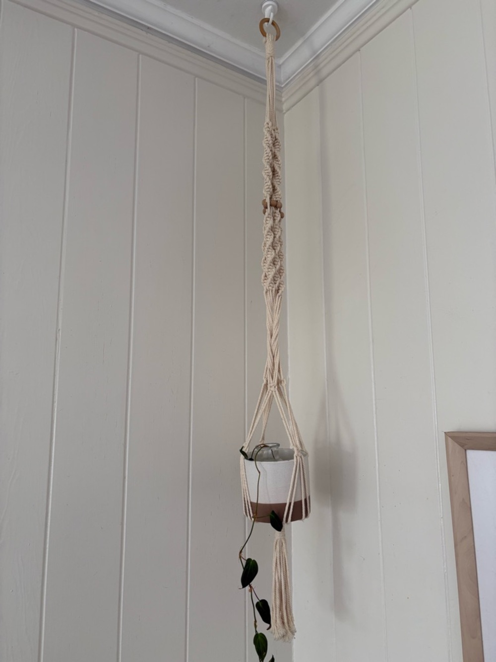 Macramé Hanging Plant Holder
